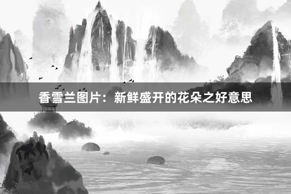 香雪兰图片：新鲜盛开的花朵之好意思