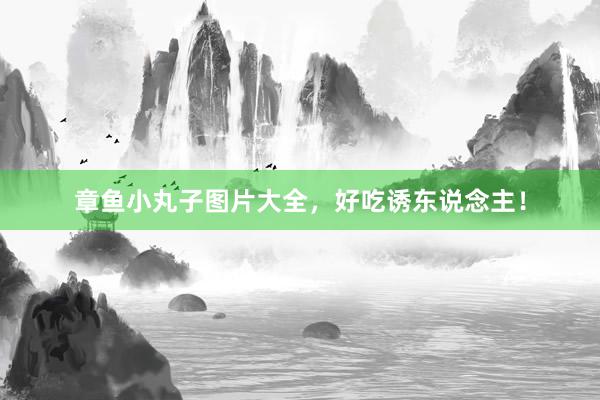 章鱼小丸子图片大全,好吃诱东说念主!