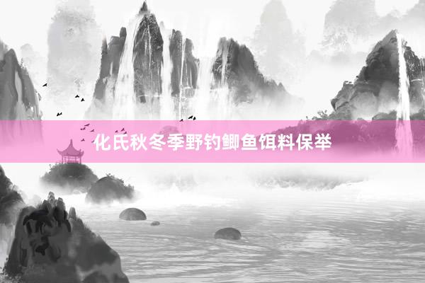 化氏秋冬季野钓鲫鱼饵料保举